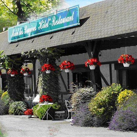 Motel Des Bruyeres Lamotte-Beuvron Buitenkant foto