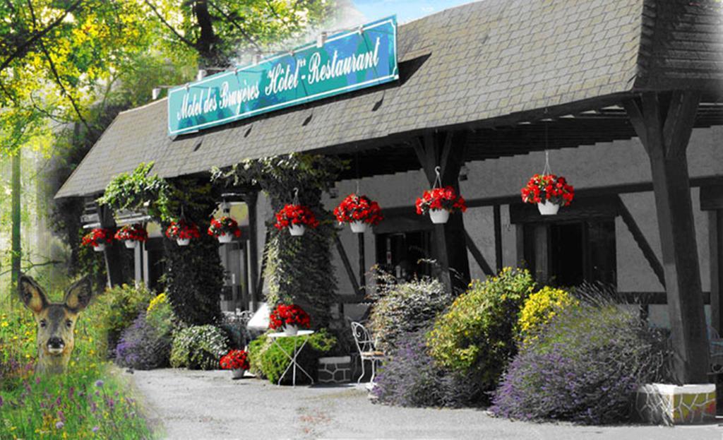 Motel Des Bruyeres Lamotte-Beuvron Buitenkant foto