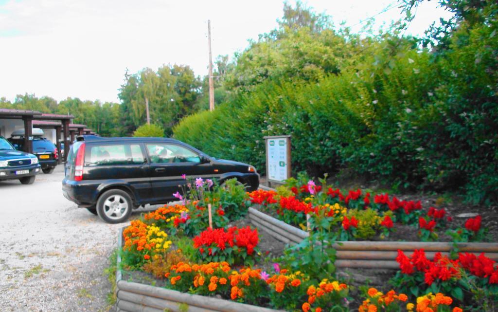 Motel Des Bruyeres Lamotte-Beuvron Kamer foto